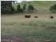 Burrell Creek NSW 2429