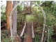 Burrell Creek NSW 2429