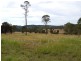 Bootawa NSW 2430