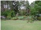 Wingham NSW 2429