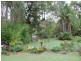 Wingham NSW 2429