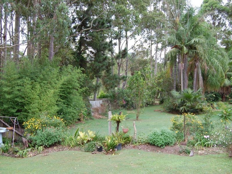 Wingham NSW 2429