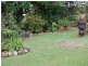 Wingham NSW 2429