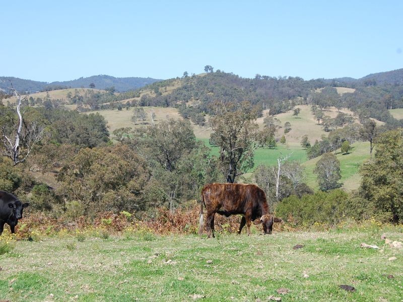 Wherrol Flat NSW 2429