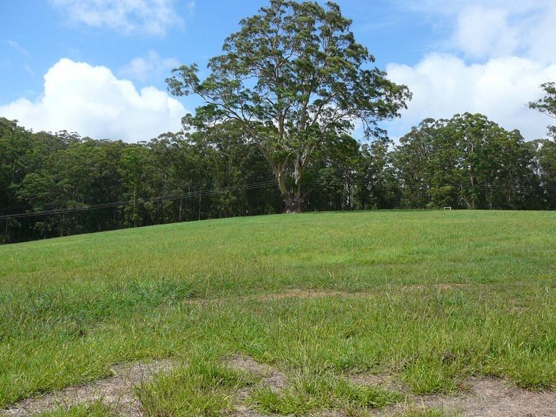 Hannam Vale NSW 2443