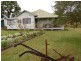 Cedar Party NSW 2429