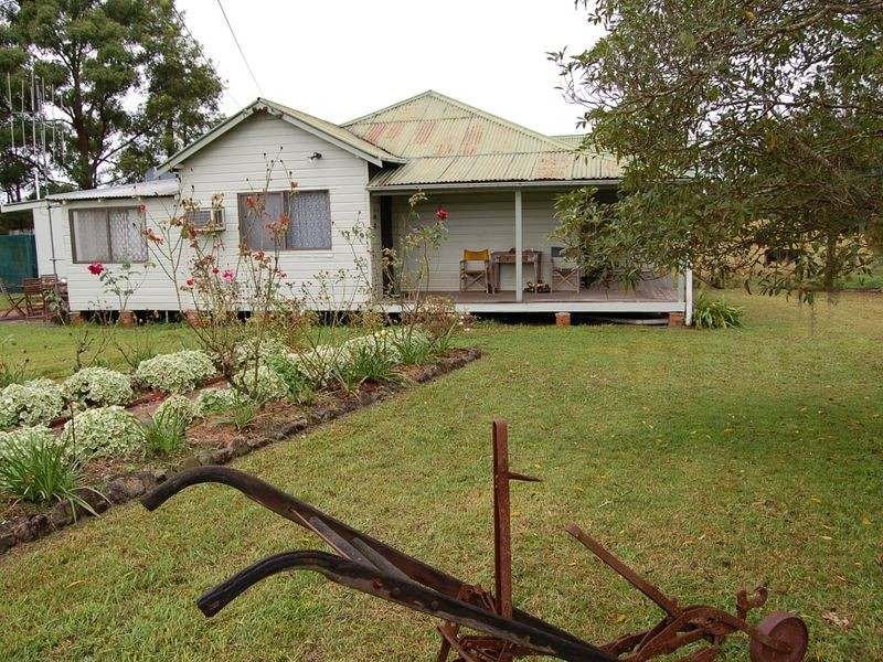 Cedar Party NSW 2429