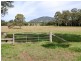 Cedar Party NSW 2429