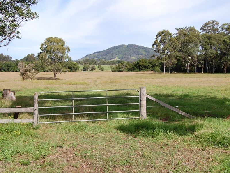 Cedar Party NSW 2429