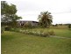 Cedar Party NSW 2429