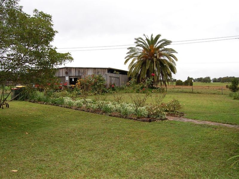 Cedar Party NSW 2429