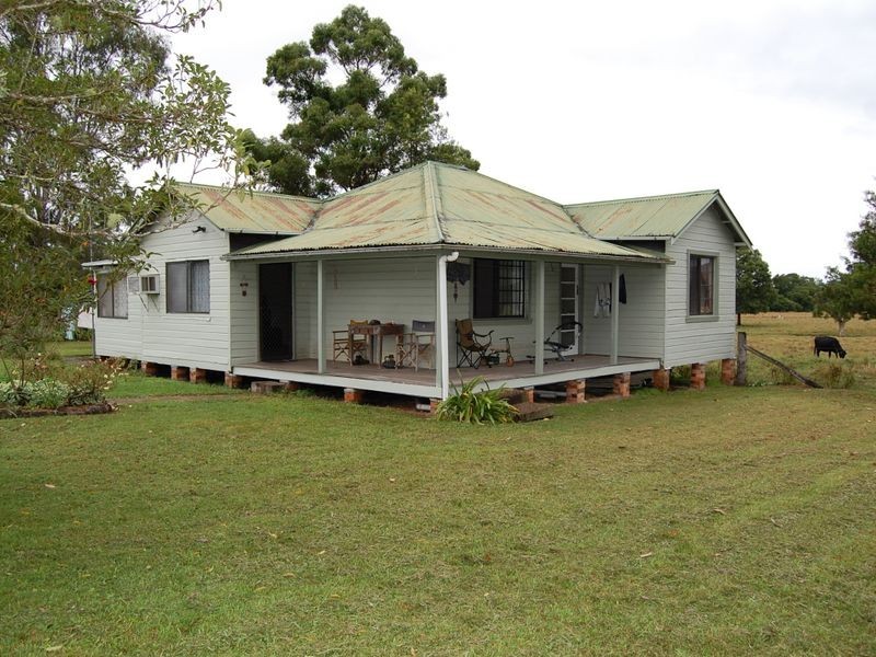 Cedar Party NSW 2429