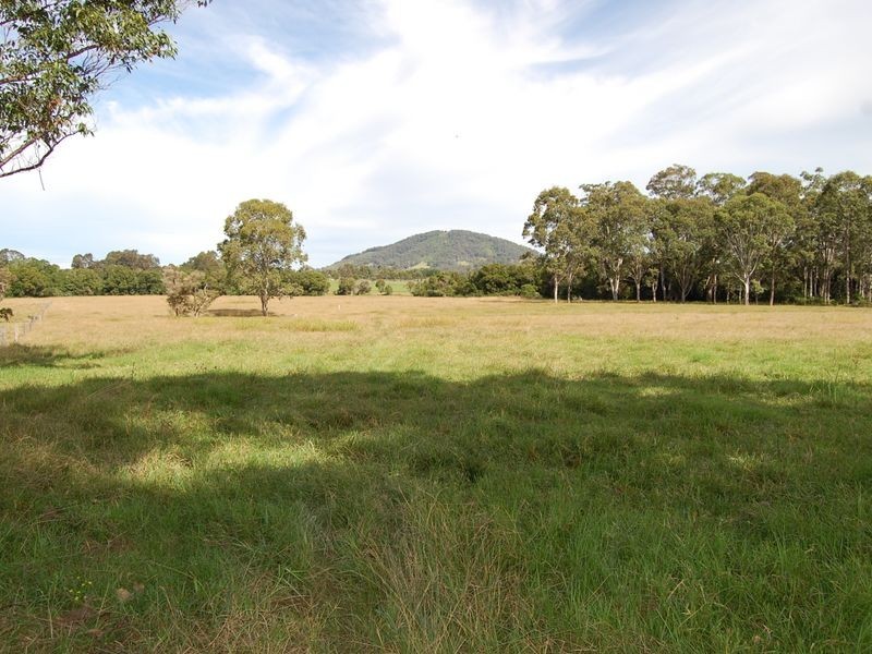 Cedar Party NSW 2429
