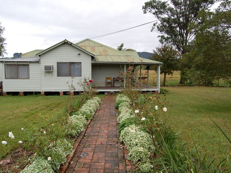 Cedar Party NSW 2429