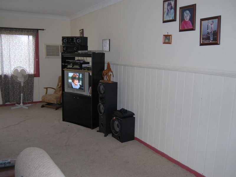 Cedar Party NSW 2429