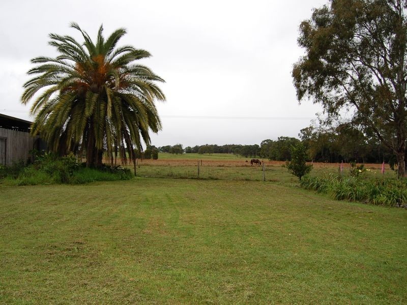 Cedar Party NSW 2429