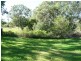 Wingham NSW 2429