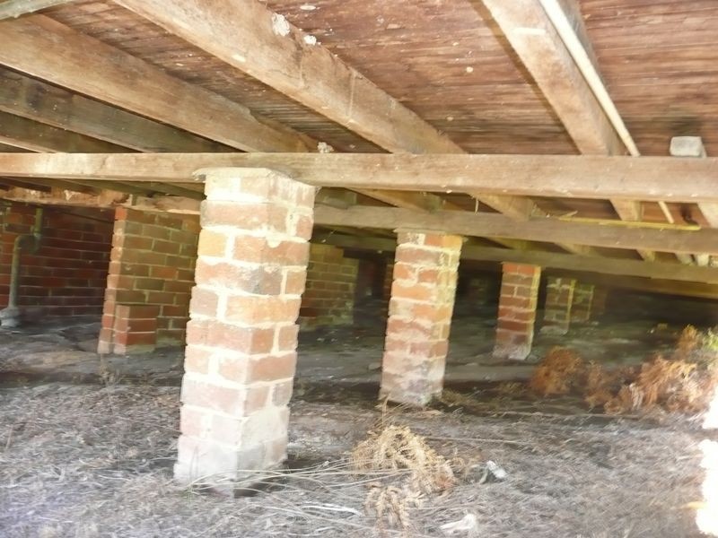 Wingham NSW 2429