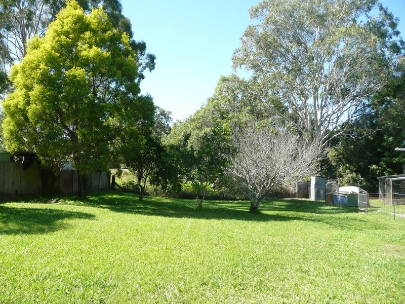 Wingham NSW 2429