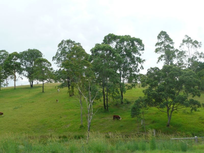 25 Burdett Street, Tinonee NSW 2430