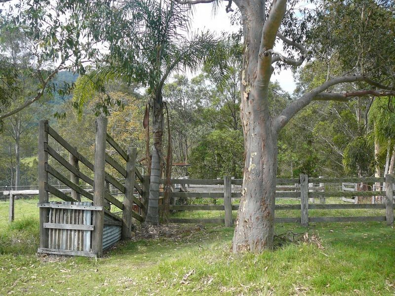 Charity Creek NSW 2424