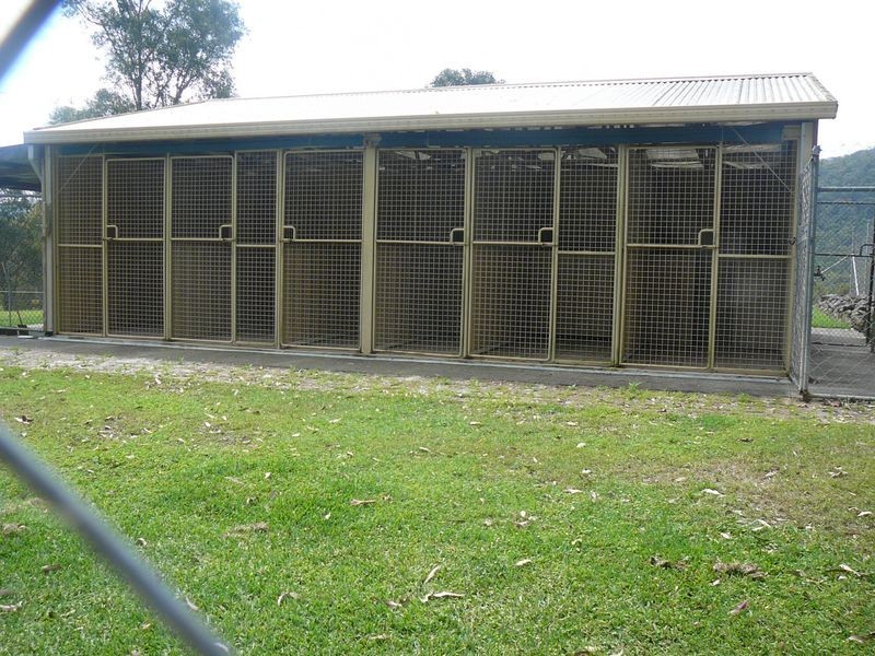 Charity Creek NSW 2424