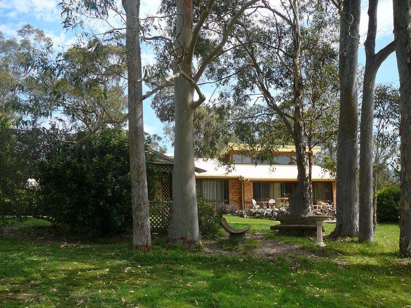 Charity Creek NSW 2424