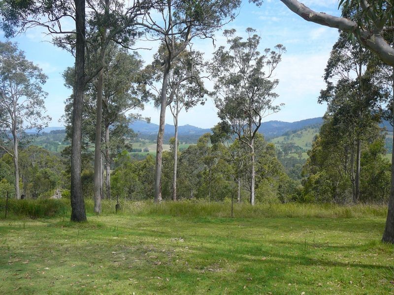 Charity Creek NSW 2424