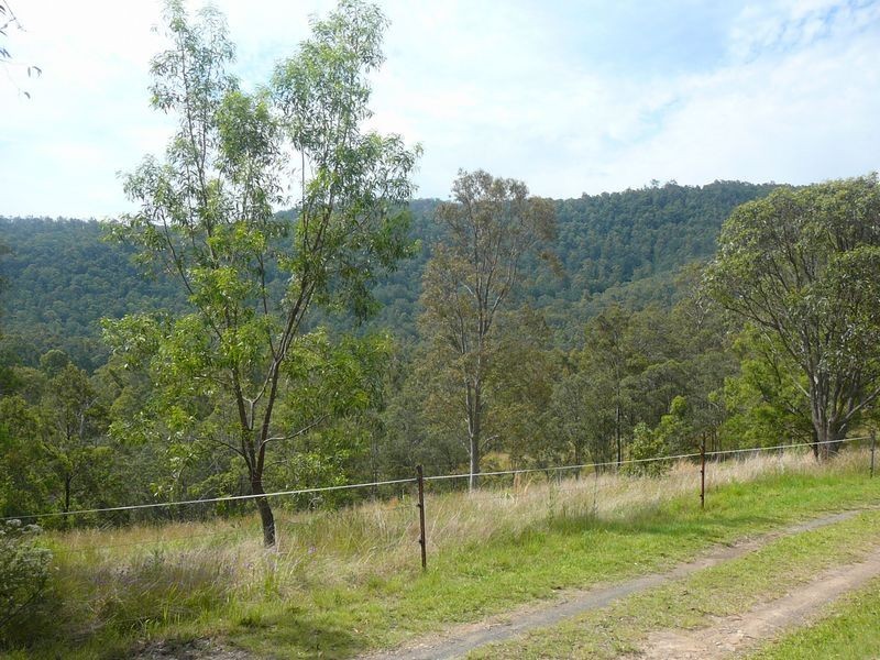 Charity Creek NSW 2424