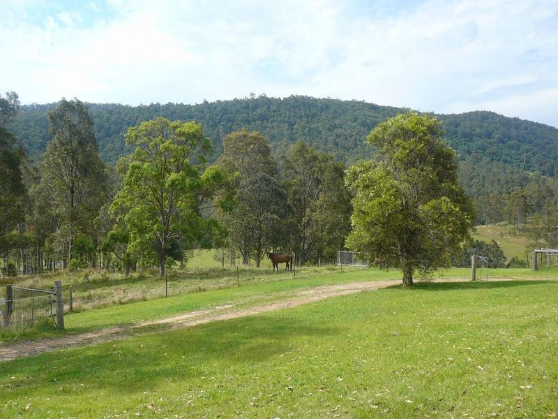 Charity Creek NSW 2424