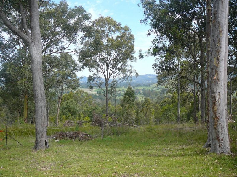 Charity Creek NSW 2424