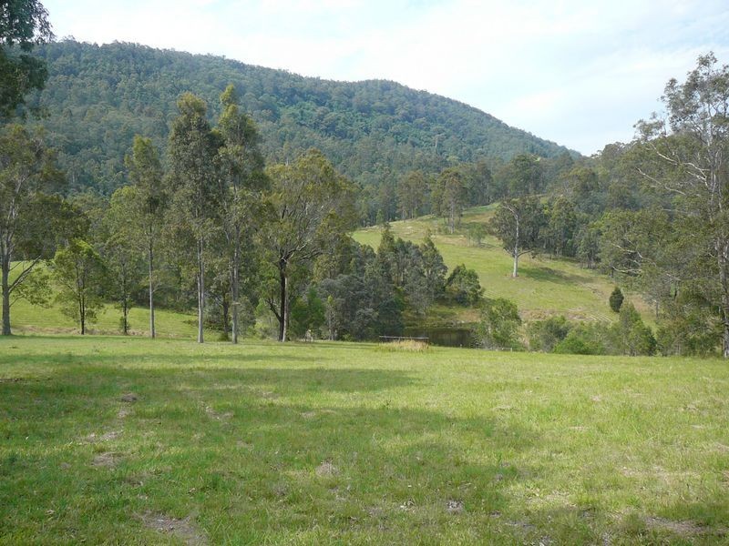 Charity Creek NSW 2424