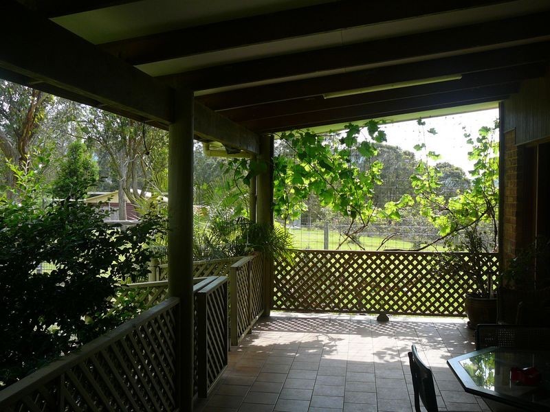 Charity Creek NSW 2424