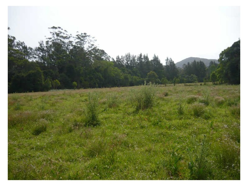 2621 Bulga Road, Bobin NSW 2429