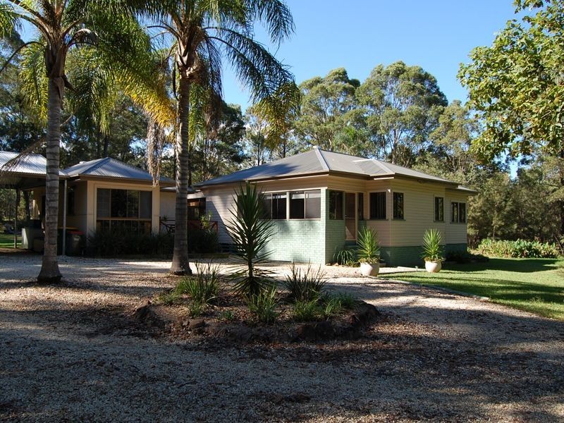 Cedar Party NSW 2429