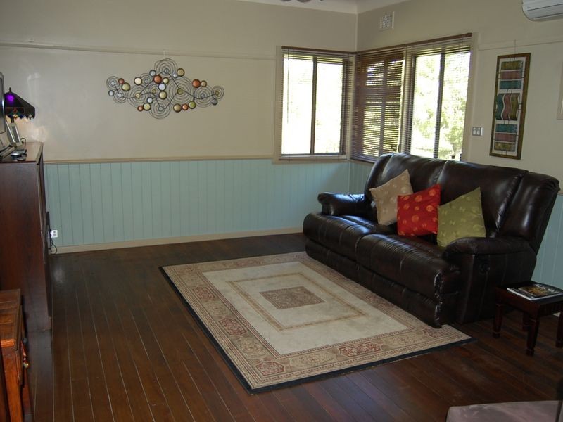 Cedar Party NSW 2429