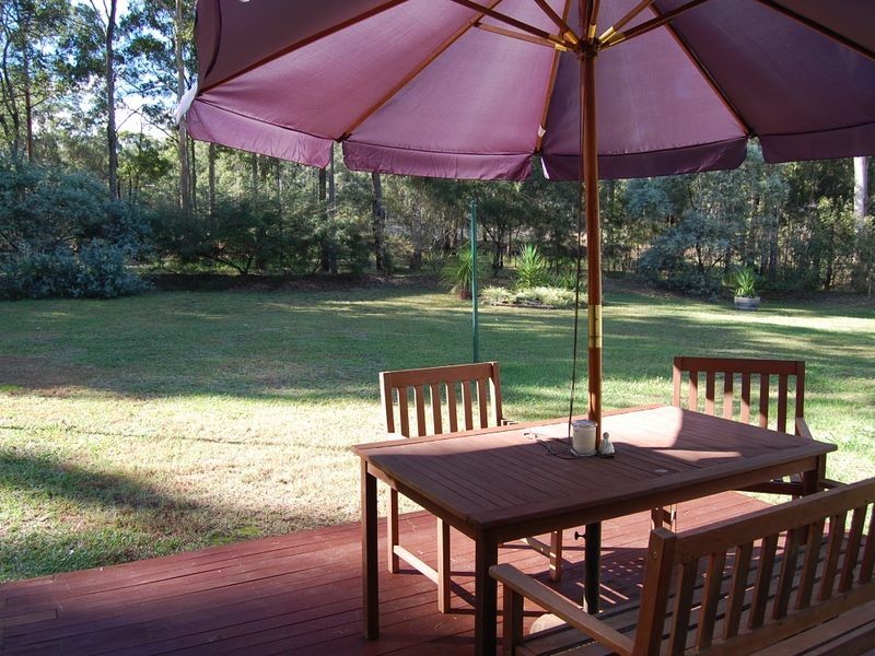 Cedar Party NSW 2429