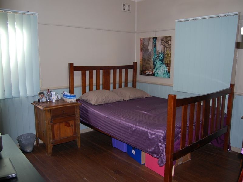 Cedar Party NSW 2429