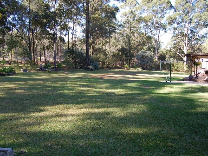 Cedar Party NSW 2429