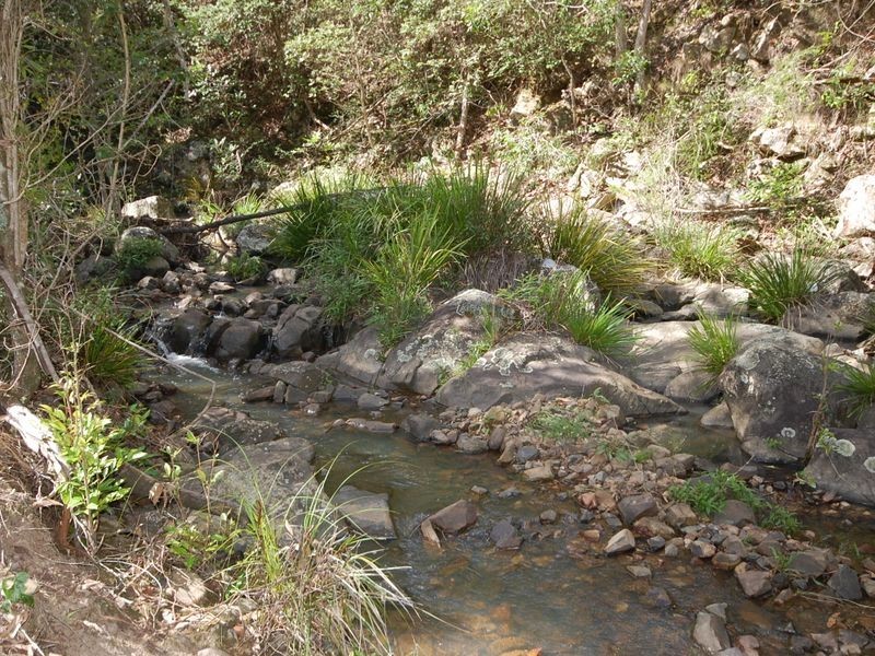 Bobin NSW 2429
