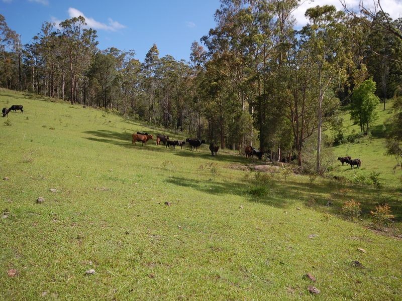 Bobin NSW 2429