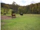 Bobin NSW 2429