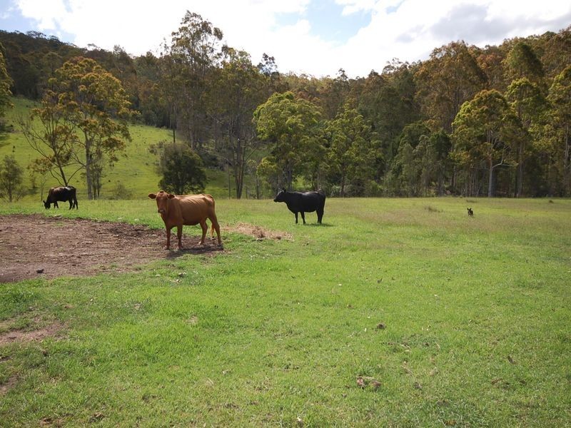 Bobin NSW 2429