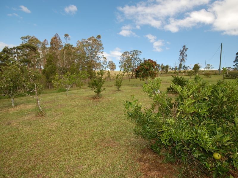 Bobin NSW 2429