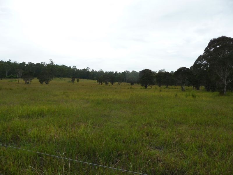 Wingham NSW 2429