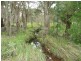Wingham NSW 2429