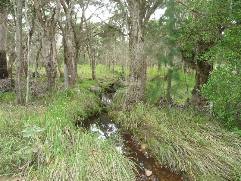 Wingham NSW 2429