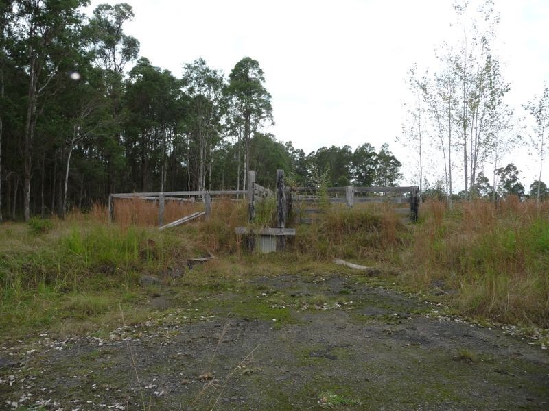 Wingham NSW 2429