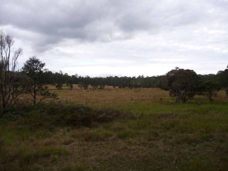 Wingham NSW 2429