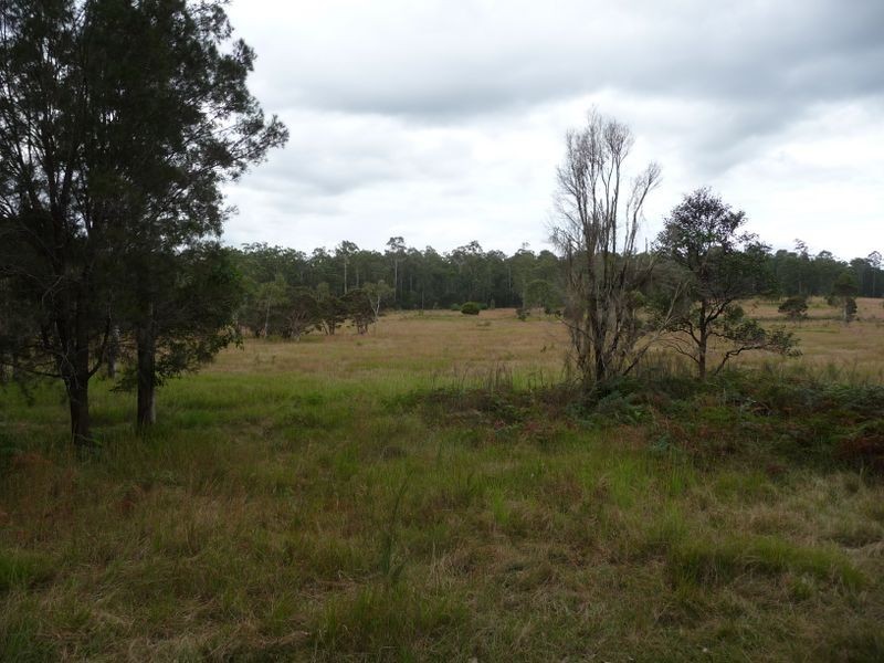 Wingham NSW 2429